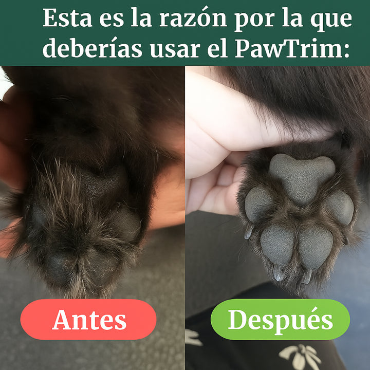 PawTrim Pro | Afeitadora Mascota Premium